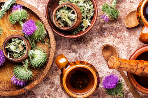 Les bienfaits étonnants du chardon marie